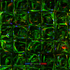 Box Pattern