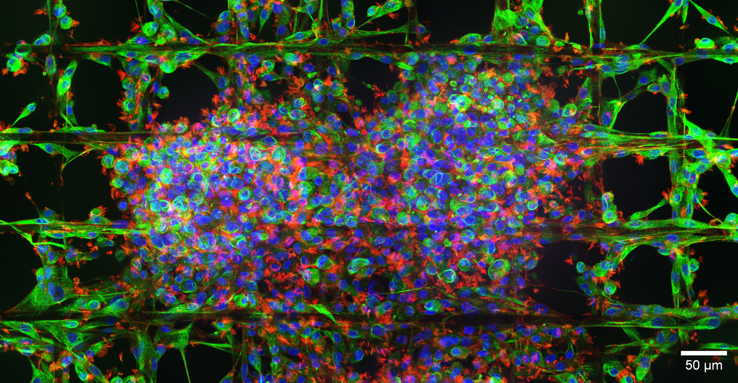 Join Us in Redefining the Future of Human Health